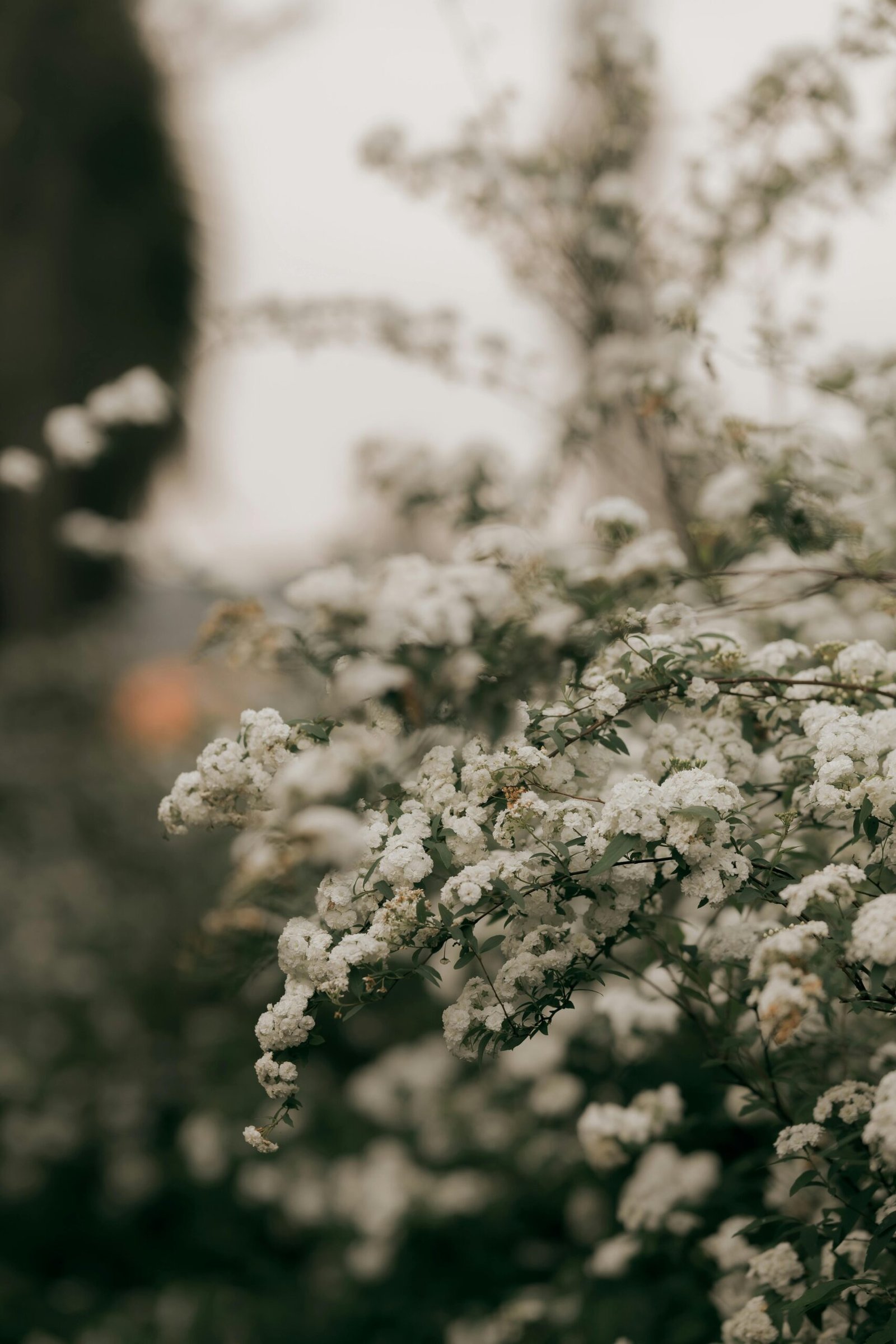 pexels-alexander-mass-748453803-34584002-scaled.jpg